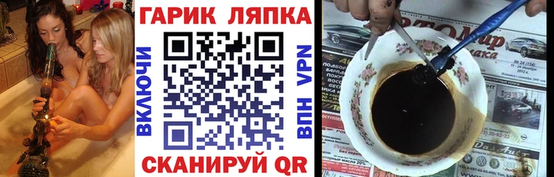 Купить закладки  Елизово  Гашиш индика сатива 