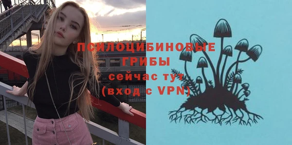 2c-b Богородск