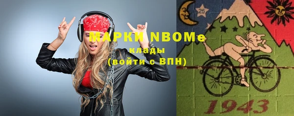 молекула духа Богданович