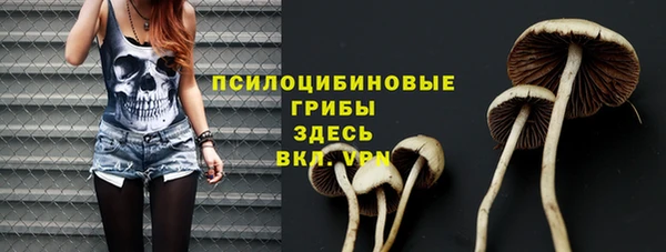 молекула духа Богданович