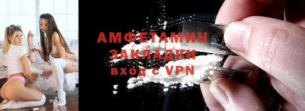 молекула духа Богданович