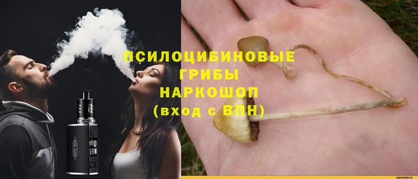 молекула духа Богданович