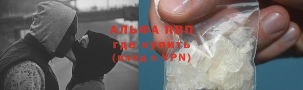 молекула духа Богданович