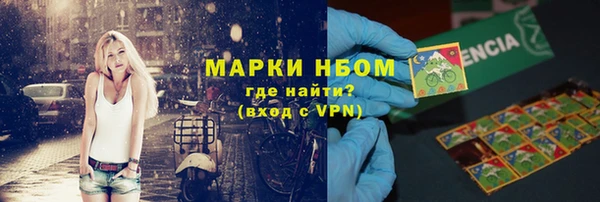 молекула духа Богданович