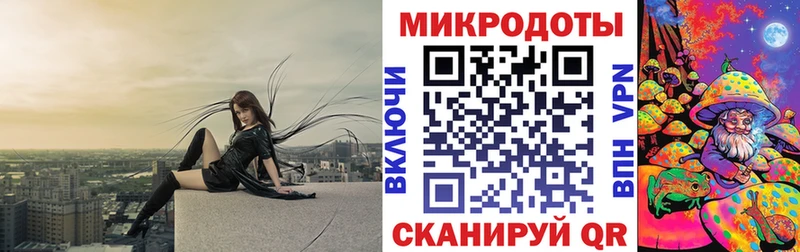 Купить закладки  Елизово  Галлюциногенные грибы мухоморы 