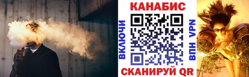 Купить закладки  Елизово  Бошки марихуана SATIVA & INDICA 